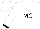 White, black 'Mc' & green horseshoes on back, black cuffs on sleeves