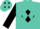 Turquoise, black diamond 'NP', turquoise diamonds on black sleeves