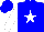 Blue, white star, blue circle on white sleeves, blue cap