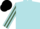 Powder Blue, White Sleeves, Olive Green Stripes