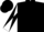 Black and White Triangular Thirds, White and Black Diagonal Quartered Sleeves