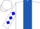 White, Royal Blue Stripe, Blue Diamonds on Sleeves, White Cap