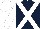 Dark Blue, White cross belts, sleeves and cap