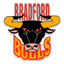 Bradford Bulls Club Badge