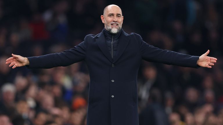 Igor Tudorreacts during Spurs' defeat to Crystal Palace